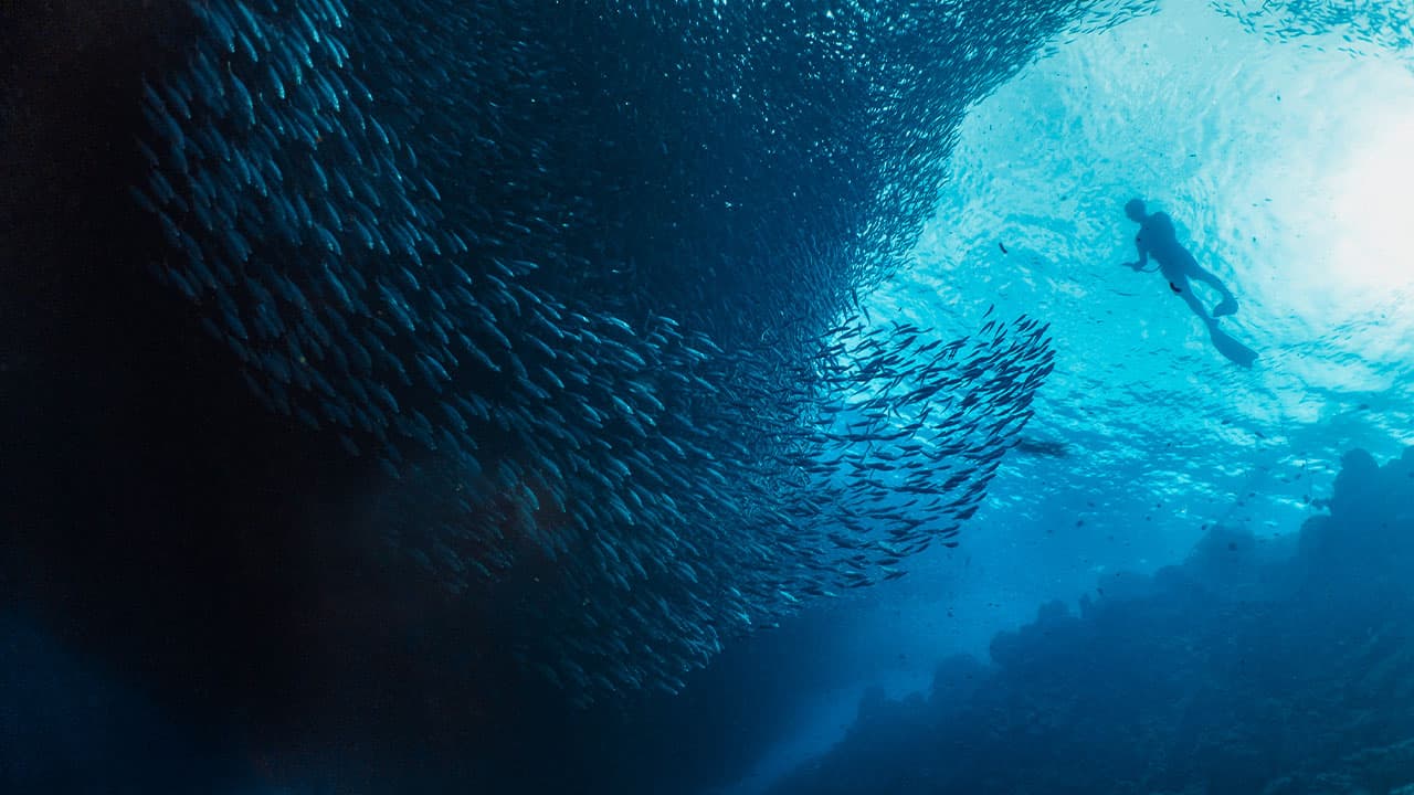 Discover the Philippines